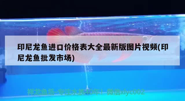 鳄雀鳝养大了怎么处理，细思极恐！浙江野外发现鳄雀鳝幼体，野外发现到底有多可怕