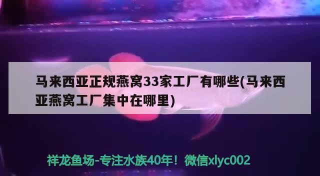 马来西亚正规燕窝33家工厂有哪些(马来西亚燕窝工厂集中在哪里) 马来西亚燕窝