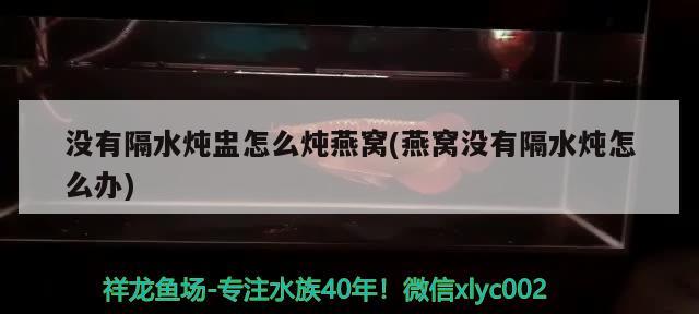 没有隔水炖盅怎么炖燕窝(燕窝没有隔水炖怎么办) 马来西亚燕窝