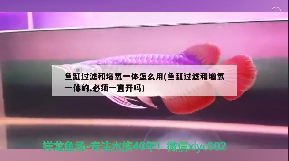 鱼缸过滤和增氧一体怎么用(鱼缸过滤和增氧一体的,必须一直开吗) 祥龙水族滤材/器材