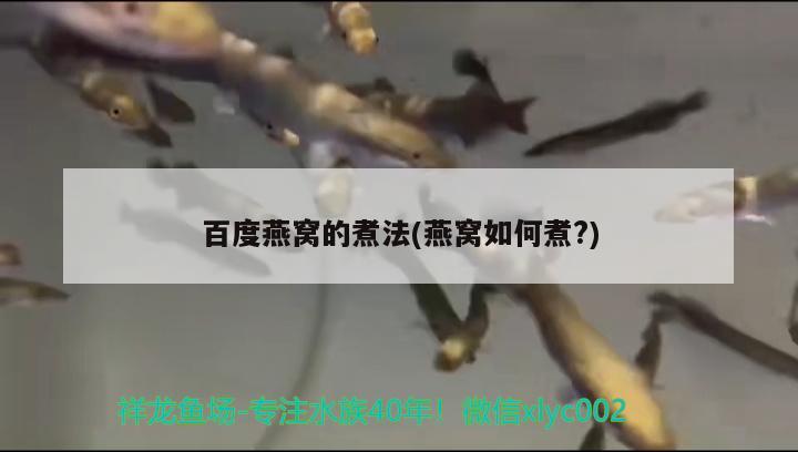 百度燕窝的煮法(燕窝如何煮?) 马来西亚燕窝