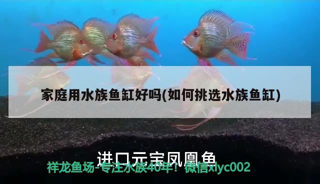 家庭用水族鱼缸好吗(如何挑选水族鱼缸)