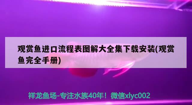 观赏鱼进口流程表图解大全集下载安装(观赏鱼完全手册) 观赏鱼进出口