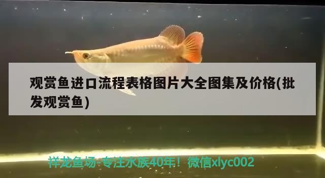 观赏鱼进口流程表格图片大全图集及价格(批发观赏鱼) 观赏鱼进出口