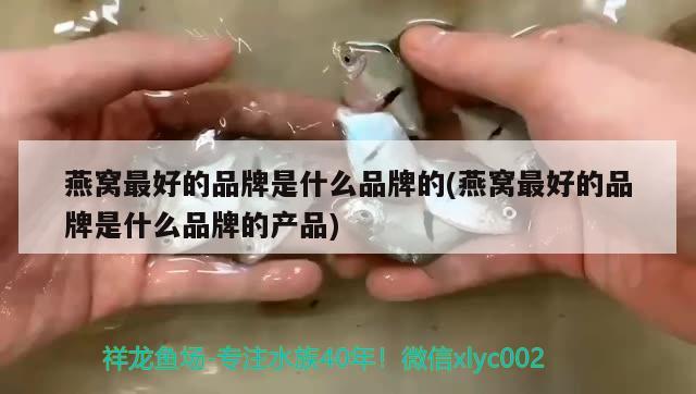 水晶肉最正宗的做法，潮汕水晶笋饺正宗做法 观赏鱼 第2张