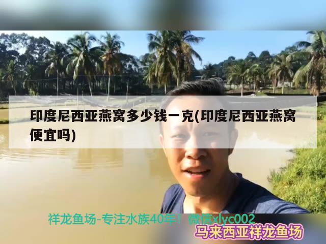 印度尼西亚燕窝多少钱一克(印度尼西亚燕窝便宜吗) 马来西亚燕窝