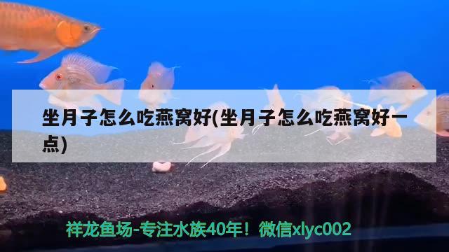 坐月子怎么吃燕窝好(坐月子怎么吃燕窝好一点)