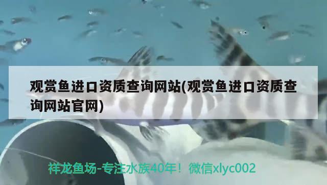 观赏鱼进口资质查询网站(观赏鱼进口资质查询网站官网)