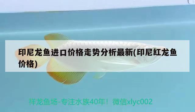 武汉市硚口区红昌水族用品店 水族用品 第2张