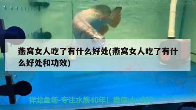 燕窝女人吃了有什么好处(燕窝女人吃了有什么好处和功效) 马来西亚燕窝