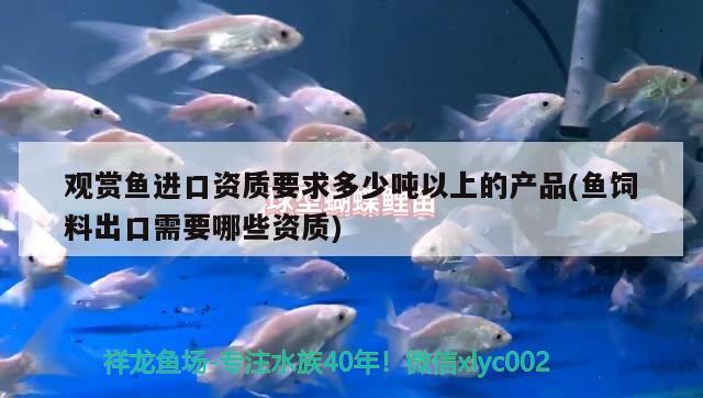 上海观赏鱼展会时间表安排图片大全（上海观赏鱼协会）