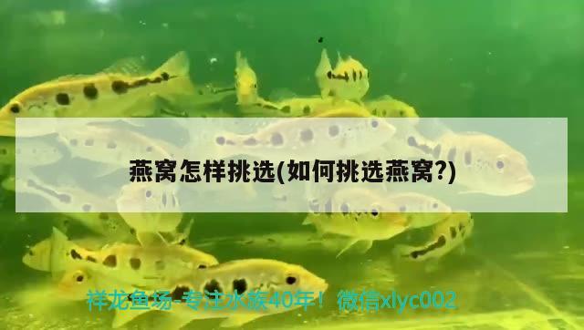 昆明市盘龙区恒通水族店 全国水族馆企业名录 第3张