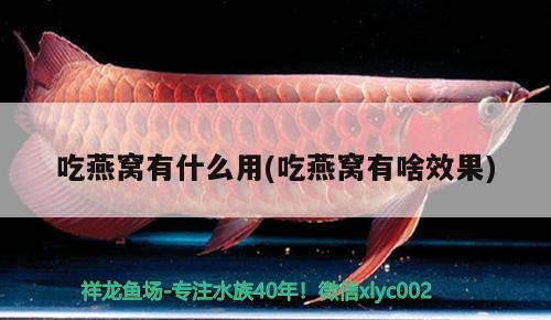 家庭鱼缸制作设计图片：家庭鱼缸制作设计图片大全 广州水族批发市场 第1张