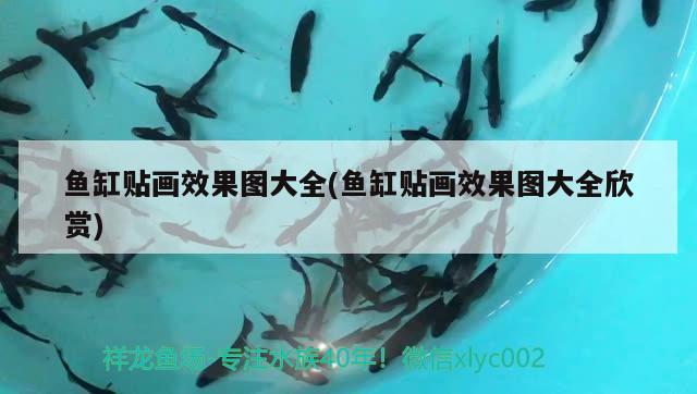 宝鸡市金台区深水埠造景水族工作室 全国水族馆企业名录 第1张