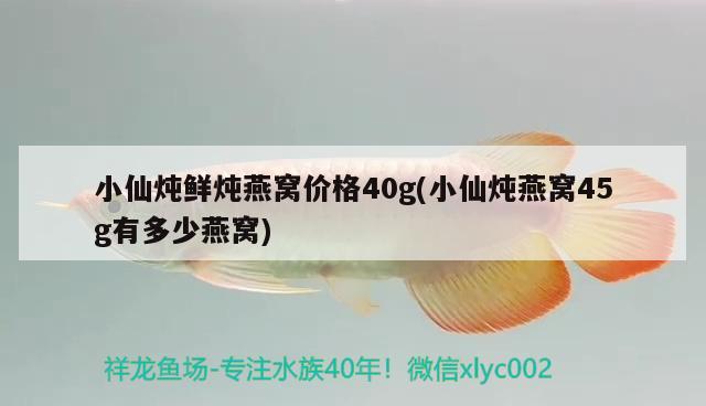 小仙炖鲜炖燕窝价格40g(小仙炖燕窝45g有多少燕窝) 马来西亚燕窝 第3张