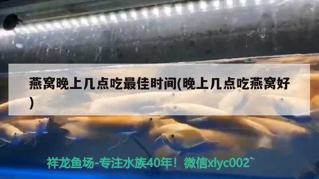 燕窝晚上几点吃最佳时间(晚上几点吃燕窝好) 马来西亚燕窝