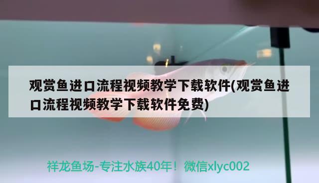 观赏鱼进口流程视频教学下载软件(观赏鱼进口流程视频教学下载软件免费) 观赏鱼进出口