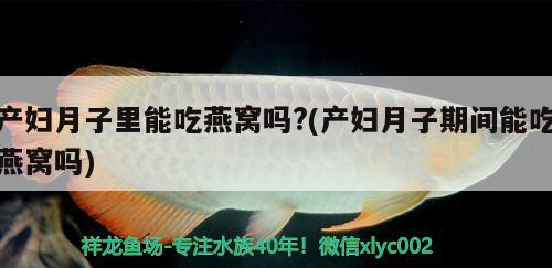 产妇月子里能吃燕窝吗?(产妇月子期间能吃燕窝吗) 马来西亚燕窝