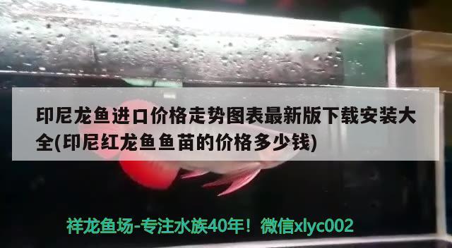 养鱼的水浑浊了怎么办（养鱼的水浑浊了怎么办视频）