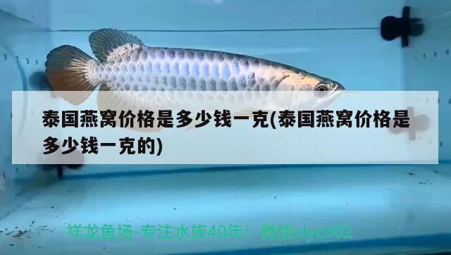 泰国燕窝价格是多少钱一克(泰国燕窝价格是多少钱一克的) 马来西亚燕窝