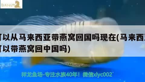 1.5米鱼缸造景图片大全（1.5米鱼缸造景图片大全集） 鱼缸百科 第1张