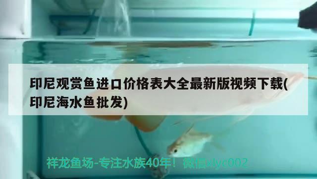 印尼观赏鱼进口价格表大全最新版视频下载(印尼海水鱼批发) 观赏鱼进出口