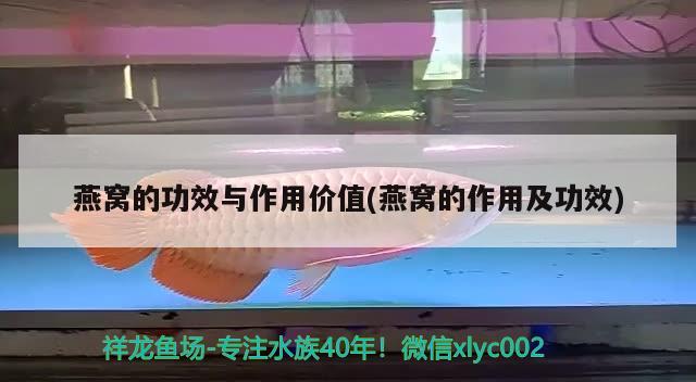 岳阳城陵矶金龙鱼油厂招聘：南岳金龙鱼厂招聘信息 广州水族批发市场 第1张