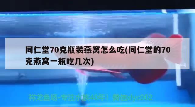 同仁堂70克瓶装燕窝怎么吃(同仁堂的70克燕窝一瓶吃几次) 马来西亚燕窝