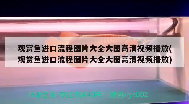 鞍山铁东区祐野水族店 全国水族馆企业名录 第5张