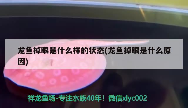 什么红龙鱼发色好看又便宜 什么红龙鱼发色好看又便宜呢 养鱼的好处 第3张