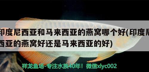 沈阳市铁西区水尚良品水族店 全国水族馆企业名录 第2张