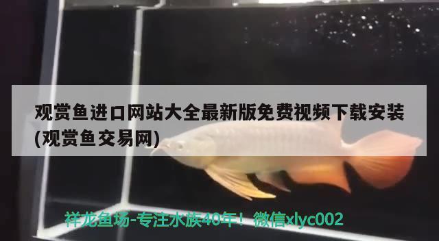 观赏鱼进口网站大全最新版免费视频下载安装(观赏鱼交易网) 观赏鱼进出口