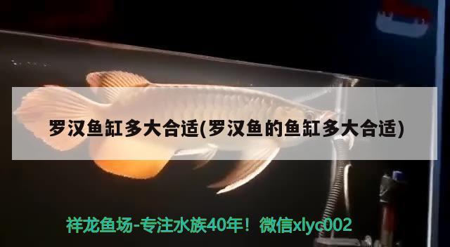 你知道哪些轰动一时的悬案，黑龙江2020年高考简章