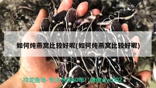 洛阳鱼缸厂家联系电话多少号啊鱼缸洛阳鱼缸厂家联系电话多少号啊，洛阳鱼缸厂家联系电话多少号啊 南美异型鱼 第3张