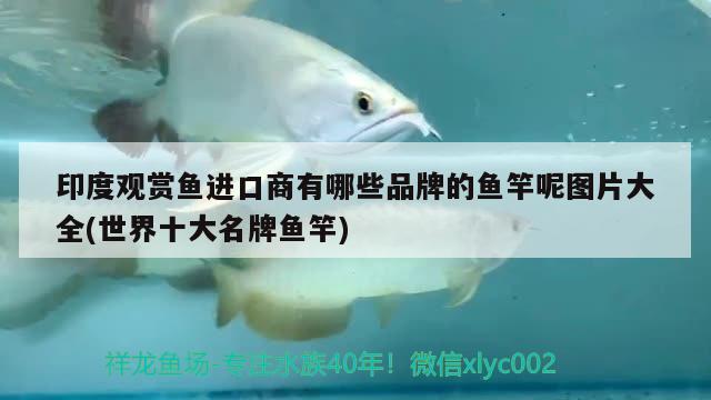 济南市天桥区金福水族店 全国水族馆企业名录 第3张