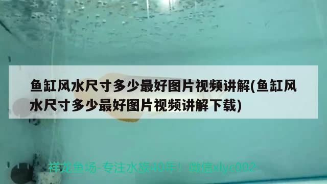 鱼缸风水尺寸多少最好图片视频讲解(鱼缸风水尺寸多少最好图片视频讲解下载) 鱼缸风水