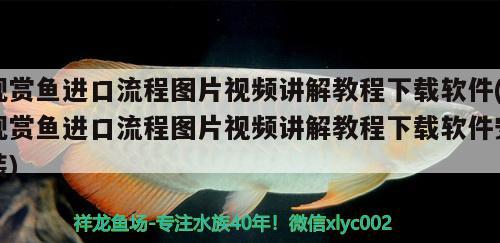 观赏鱼进口流程图片视频讲解教程下载软件(观赏鱼进口流程图片视频讲解教程下载软件安装)