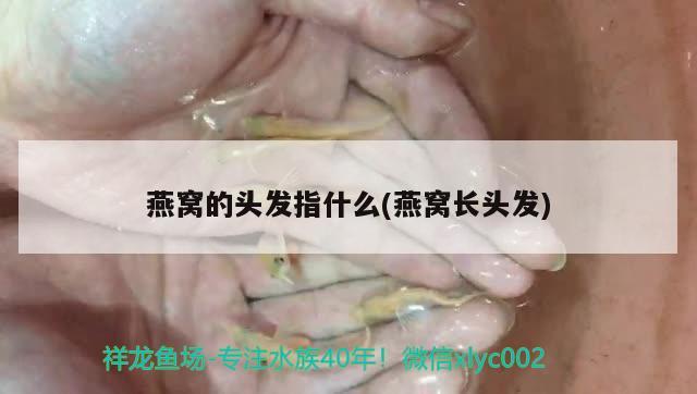 洛阳鱼缸厂家联系电话多少号啊鱼缸洛阳鱼缸厂家联系电话多少号啊，洛阳鱼缸厂家联系电话多少号啊 南美异型鱼 第1张