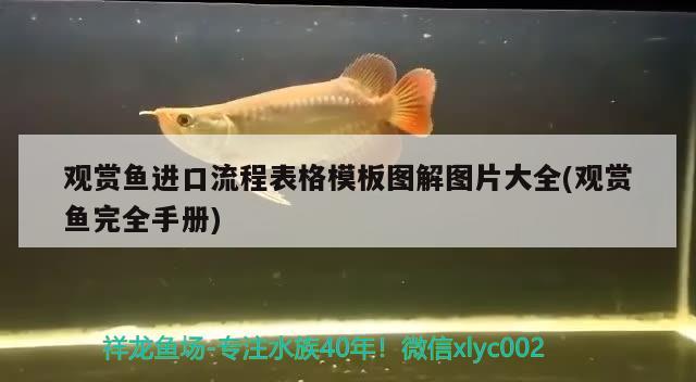 治疗第一天开始 观赏鱼论坛 第2张