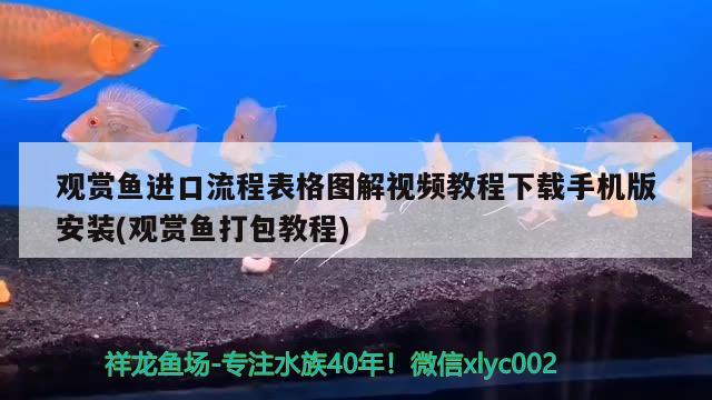 观赏鱼进口流程表格图解视频教程下载手机版安装(观赏鱼打包教程) 观赏鱼进出口