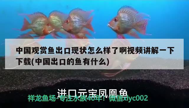 西宁二手鱼缸回收店铺地址和西宁二手鱼缸回收店铺地址电话介绍，西宁二手鱼缸回收店铺地址