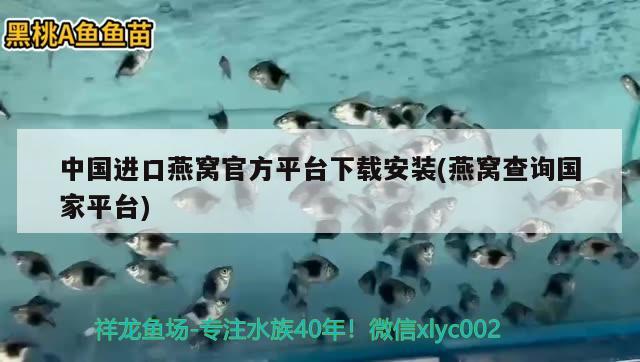 中国进口燕窝官方平台下载安装(燕窝查询国家平台) 马来西亚燕窝