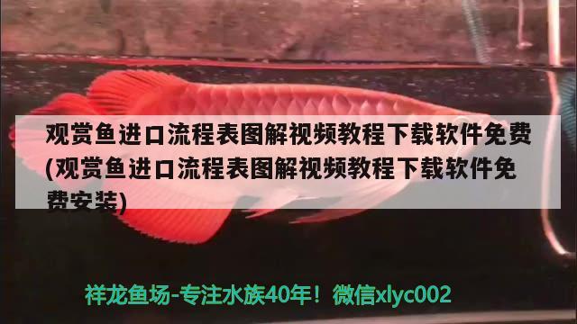 观赏鱼进口流程表图解视频教程下载软件免费(观赏鱼进口流程表图解视频教程下载软件免费安装) 观赏鱼进出口