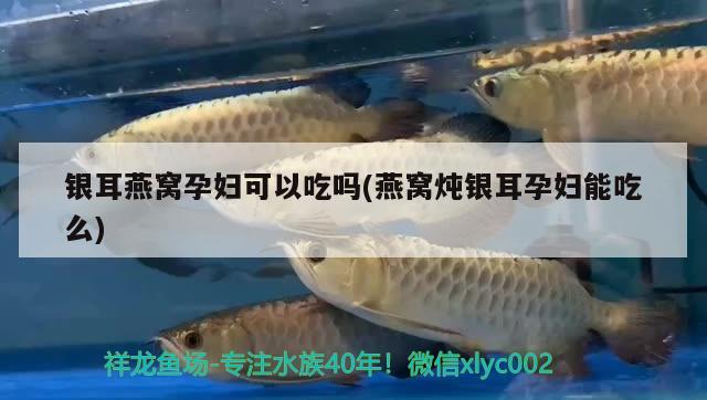 昆明水族批发市场有哪些地方卖鱼（昆明鱼类批发市场） 养鱼知识 第2张