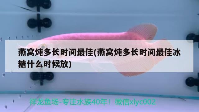 燕窝炖多长时间最佳(燕窝炖多长时间最佳冰糖什么时候放) 马来西亚燕窝