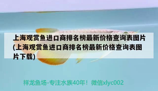 上海观赏鱼进口商排名榜最新价格查询表图片(上海观赏鱼进口商排名榜最新价格查询表图片下载)