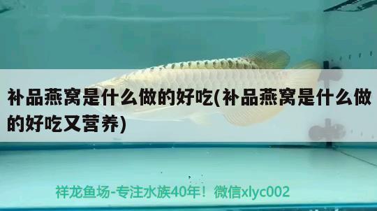 吴江哪里有卖鱼缸的市场啊图片：吴江水族店 广州水族批发市场 第2张