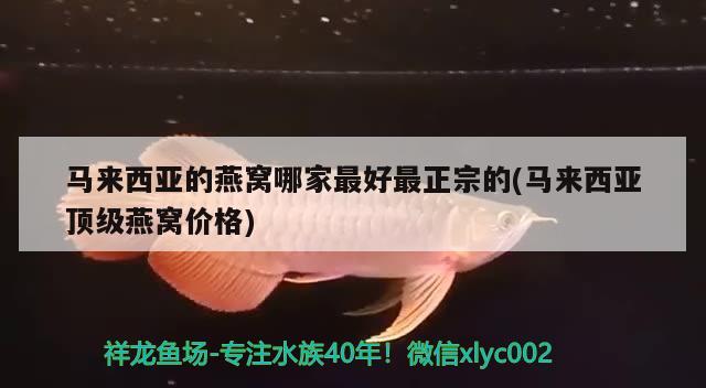 马来西亚的燕窝哪家最好最正宗的(马来西亚顶级燕窝价格) 马来西亚燕窝