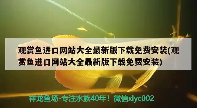 观赏鱼进口网站大全最新版下载免费安装(观赏鱼进口网站大全最新版下载免费安装) 观赏鱼进出口