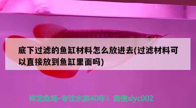 底下过滤的鱼缸材料怎么放进去(过滤材料可以直接放到鱼缸里面吗)